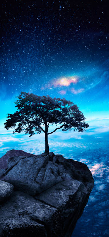 Cliff tree and starry sky phone wallpaper