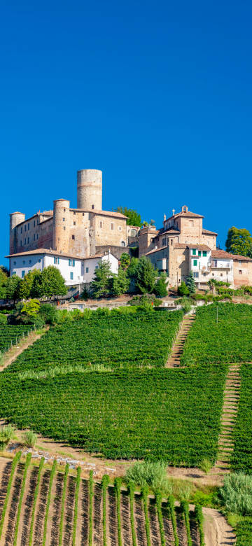 Castles and vineyards in Piedmont, Italy