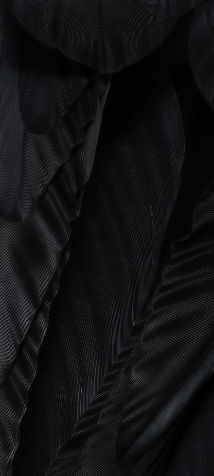 Clear texture black feather phone wallpaper