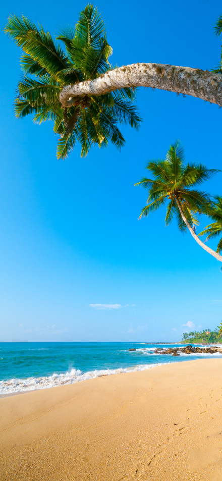 Beautiful Blue Sea and Beach Wallpaper