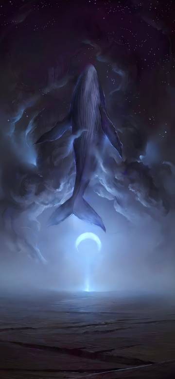 Fantasy whale swimming under the starry sky Fantasy whale swimming under the starry sky