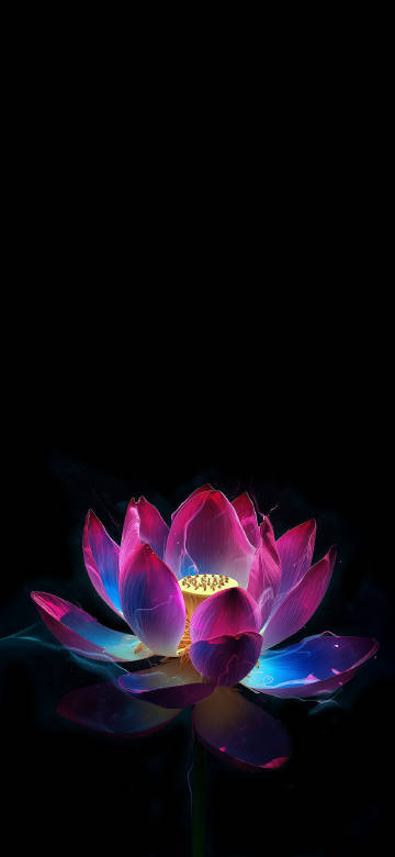 A Lotus Glowing Against a Black Background 4K Wallpaper