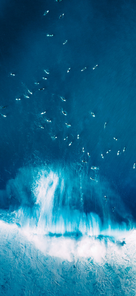 Overlooking surfers on the ocean phone wallpaper