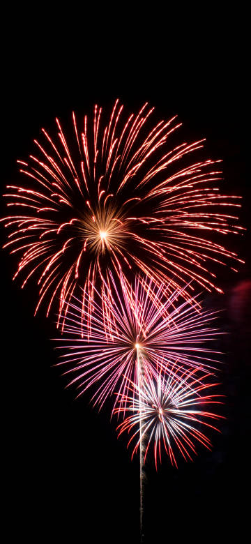 Beautiful fireworks bloom in the night sky phone wallpaper