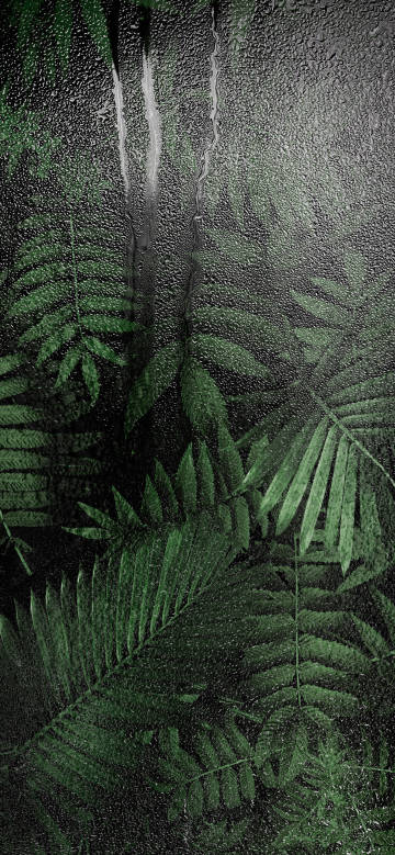 Latest Wallpaper 1