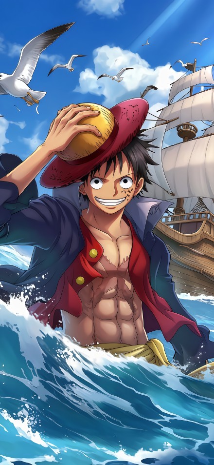 Luffy and his sailing ship journey phone wallpaper