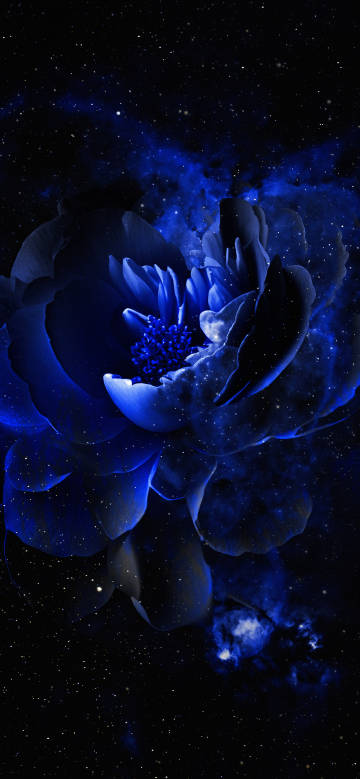 Dreamy blue flowers in the starry sky phone wallpaper