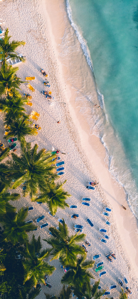 Overlooking a vibrant tropical beach phone wallpaper