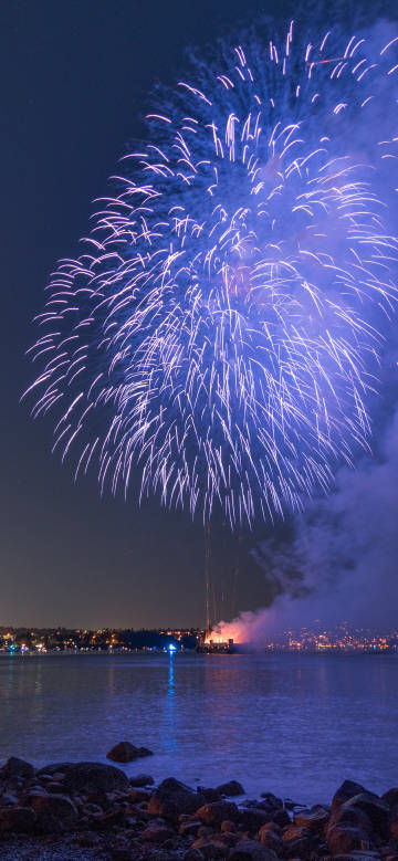 Colorful fireworks bursting in the night sky wallpaper