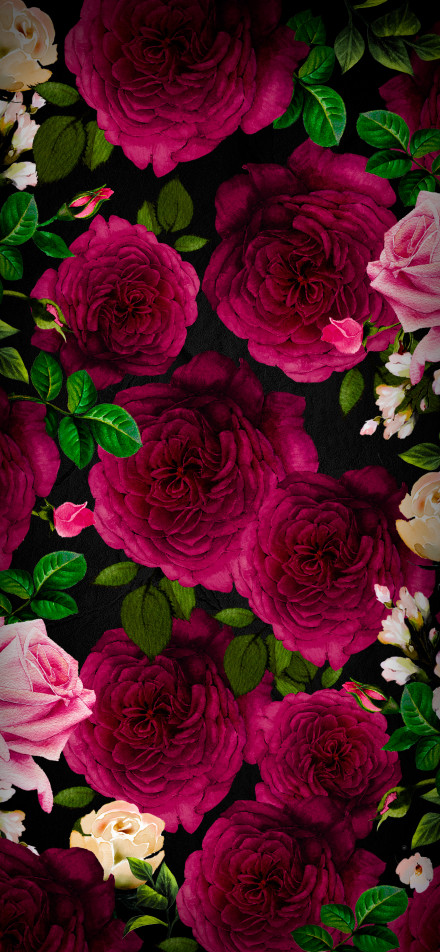 Romantic Deep Red Roses On Black Background 4K Wallpaper
