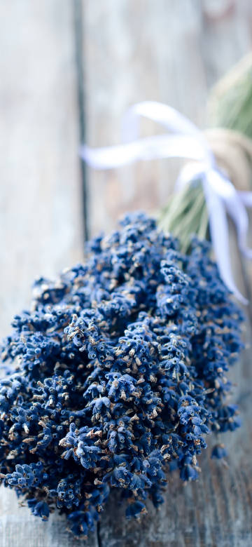 Beautiful Lavender Bouquet On Wooden Table 4K Phone Wallpaper Beautiful Lavender Bouquet On Wooden Table 4K Phone Wallpaper