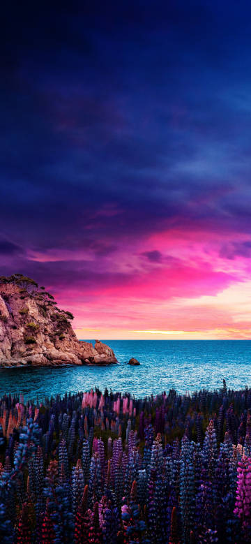 Pink and purple sunset by the seaside phone wallpaper
