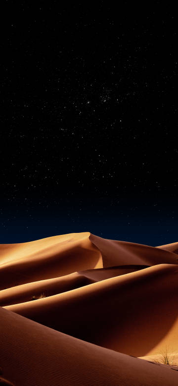 Vast and tranquil desert night scene wallpaper