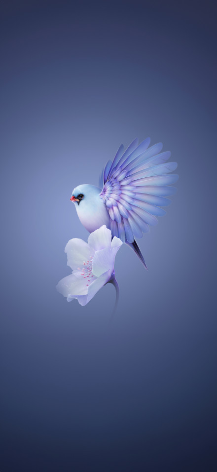 Huawei Mate X5 bird feather 4k phone wallpaper