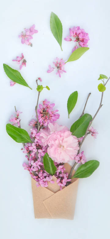 Pink Spring Flowers In Paper Envelope 4K Phone Wallpaper Pink Spring Flowers In Paper Envelope 4K Phone Wallpaper