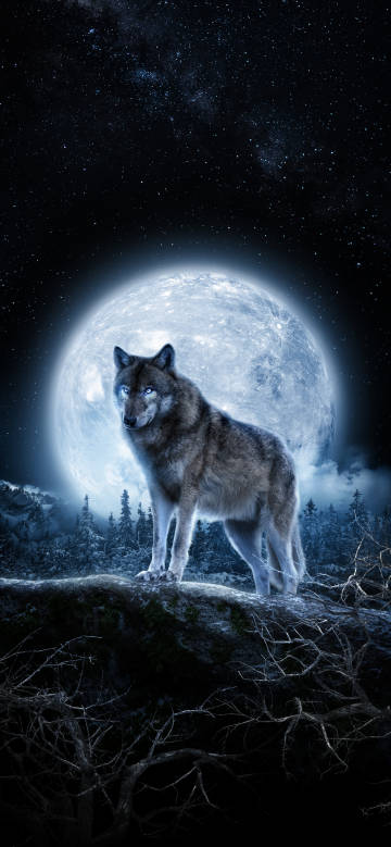 A wolf standing on a rock with a glowing planet in the background