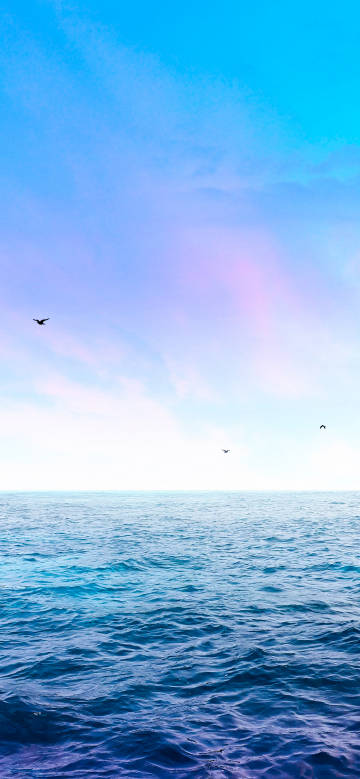 Tranquil ocean scenery under blue sky phone wallpaper