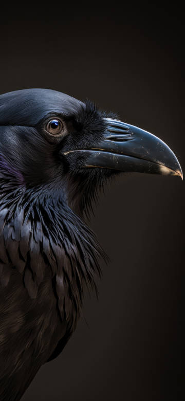 Black Raven Head Macro on Dark Background 4K Phone Wallpaper