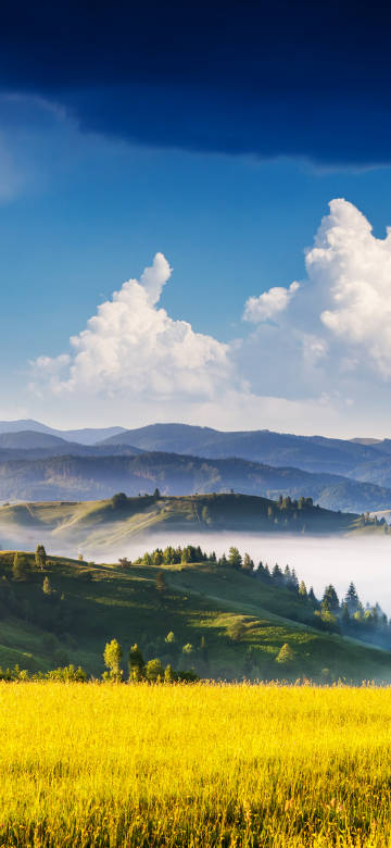 Natural scenery wallpaper: valleys, mountains and golden grass
