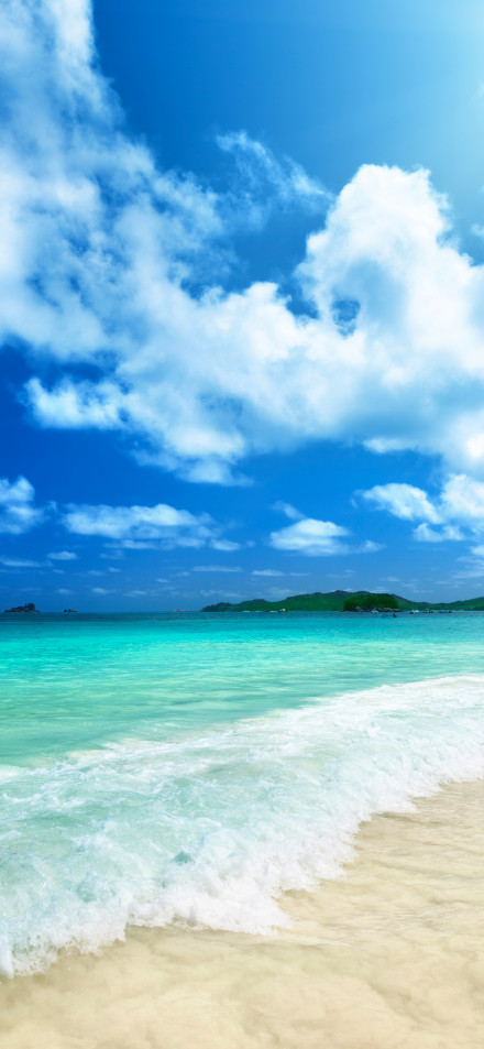 Sunny day view at the seaside phone wallpaper