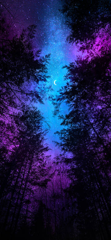 Forest under the gorgeous starry sky phone wallpaper