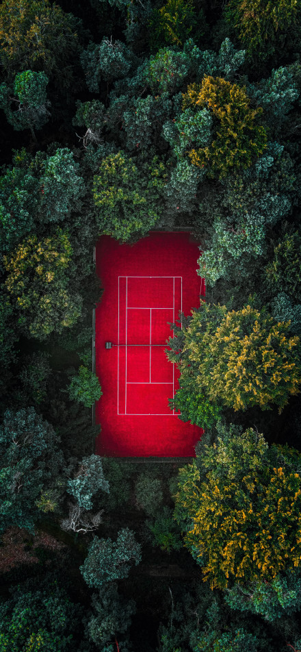 Overlooking the red tennis court in the forest phone wallpaper