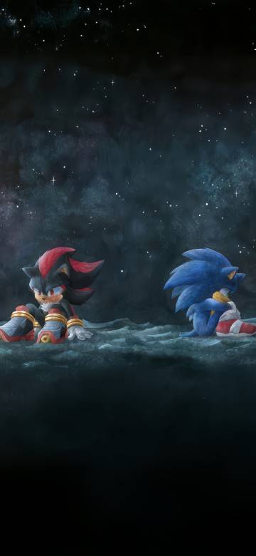 Sonic and Shadow Under Starry Sky Wallpaper Sonic and Shadow Under Starry Sky Wallpaper