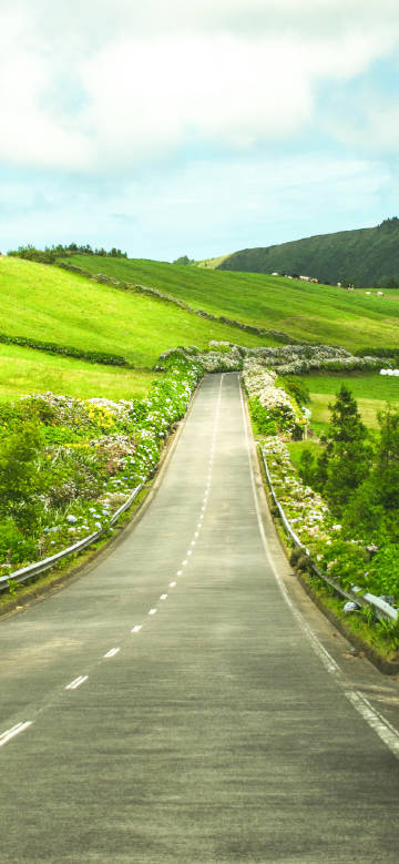 Highway through green fields and flowers phone wallpaper