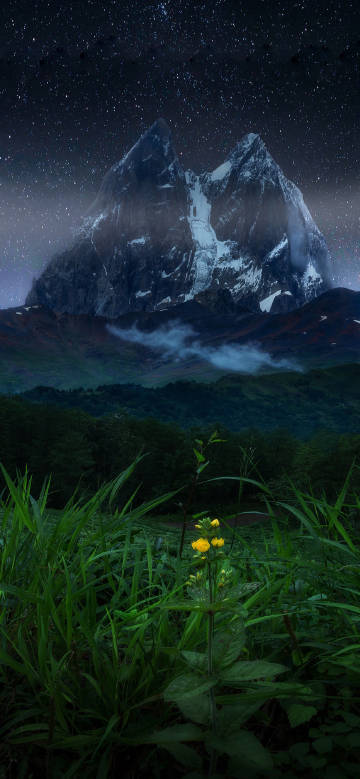 Snow-capped mountains and small flowers under the stars phone wallpaper