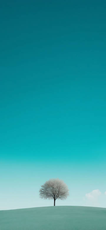 Simple phone wallpaper, a tree on the hill