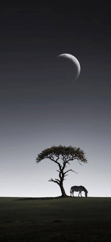 Latest Wallpaper 1